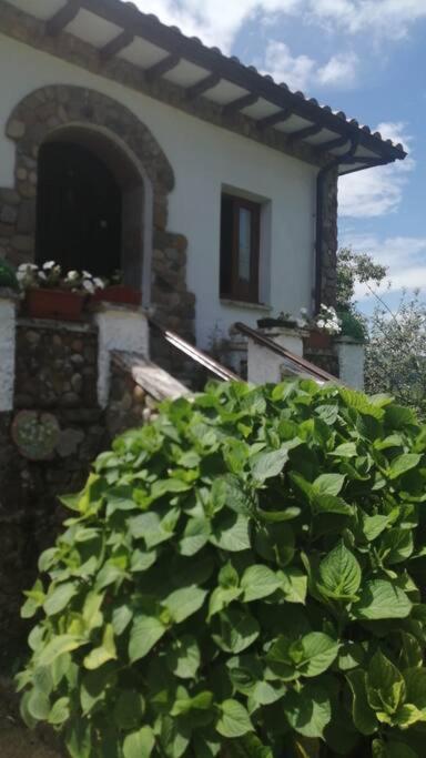 Apartamento En Casa Rural Con Amplio Jardin A 5 Min De La Playa Situacion Inmejorable La Riera  Extérieur photo